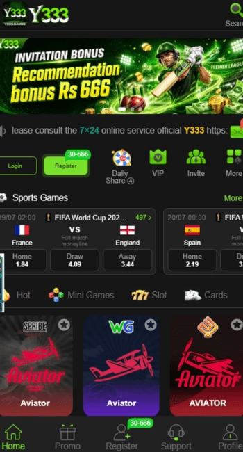 Y333 Game
