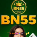 BN55
