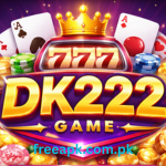DK 222 Game