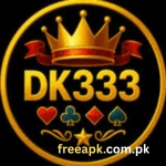 DK333 Game
