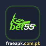 Bet 55 Game